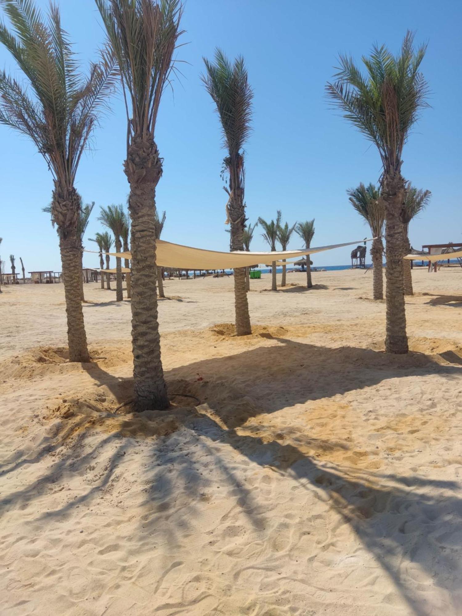 D-Bay North Coast Hotel Zawiyat 'abd al Mun'im Exterior foto